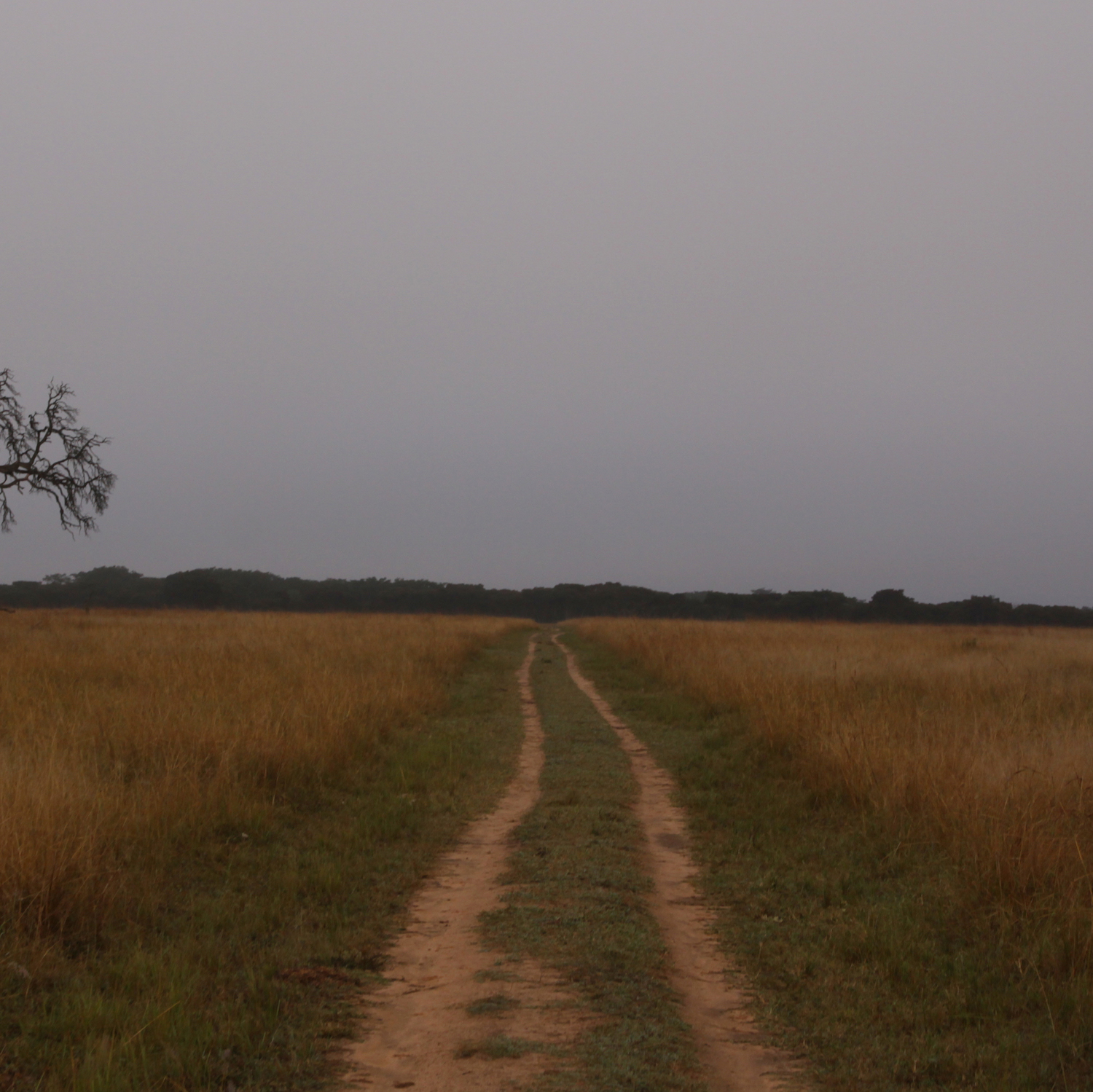Hwange National Park Hwange National Park