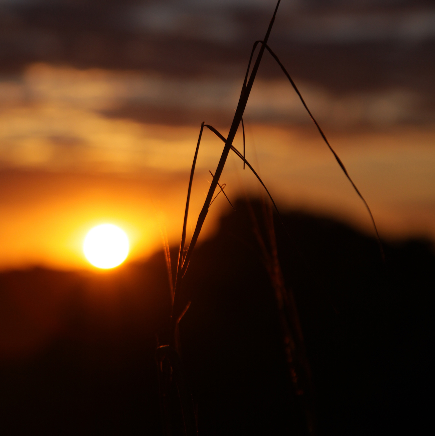 Tramonto nel parco Tramonto nel parco