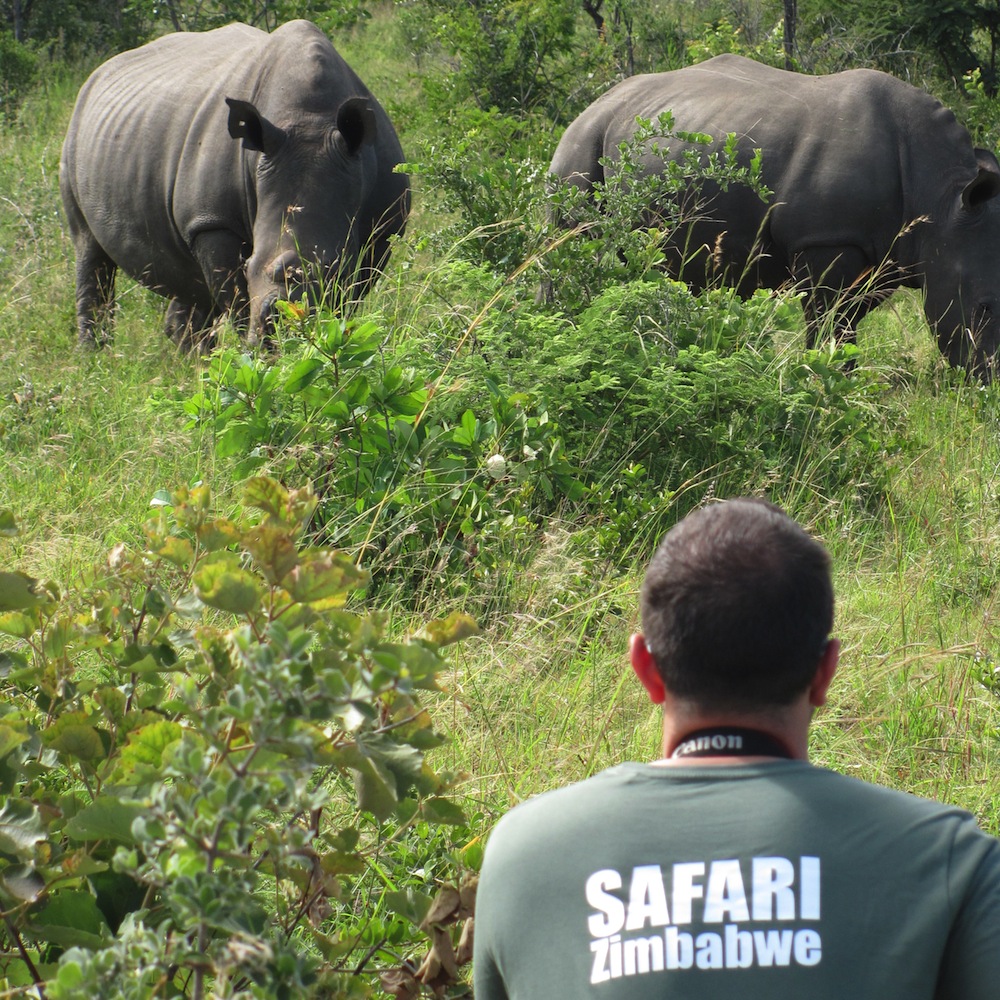 safari zimbabwe_alessio delle cave_africa_rinoceronti_matopos_rhodes_rhino_zimbabwe_viaggiare_viaggio safari zimbabwe_alessio delle cave_africa_rinoceronti_matopos_rhodes_rhino_zimbabwe_viaggiare_viaggio