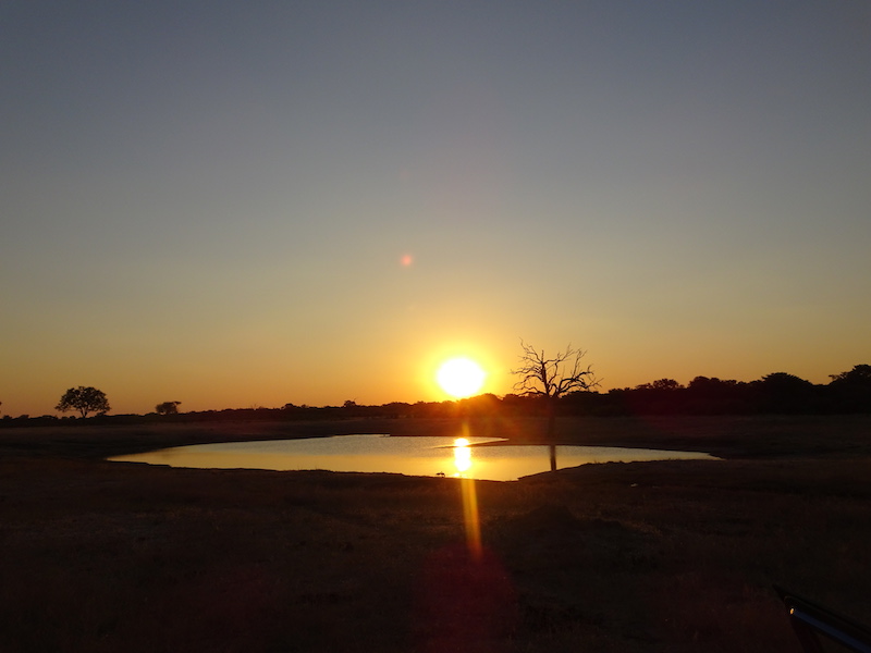 DSC06766 DSC06766
