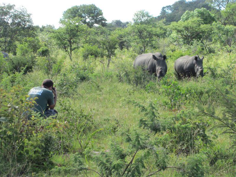 safari a piedi rinoceronte Matopos Parco Nazionale Zimbabwe